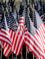 a collection of u.s. flags at a u.s. military cemetary.