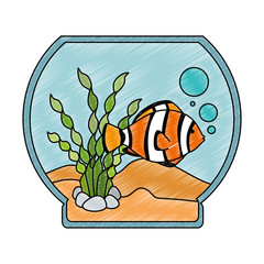 Poster - aquarium bowl with colors fish vector illustration design