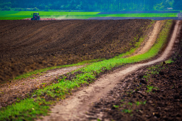 Wall Mural - Farmer with tractor seeding crops at field