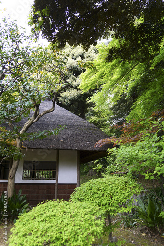 日本家屋 Buy This Stock Photo And Explore Similar Images At Adobe Stock Adobe Stock