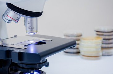 Wall Mural - A microscope and petri dishes are near. A microscope on the desktop and next to it lie petri dishes. Glass on the microscope desktop.