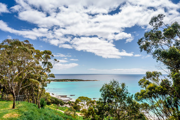 Pretty view to small paradise like town village sandy beach with turquoise blue water and red orange rocks and green shore forest on warm sunny clear sky day, Boat Harbour Beach, Tasmania, Australia