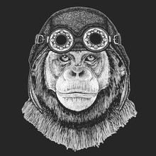 Chimpanzee Monkey Hand Drawn Illustration For Tattoo, Emblem, Badge, Logo, Patch, T-shirt Cool Animal Wearing Aviator, Motorcycle, Biker Helmet.
