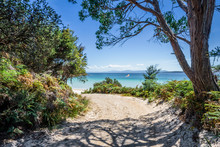 Amazing View To Small Paradise Like Island Sandy Beach With Turquoise Blue Water And Green Shore Jungle Forest On Warm Sunny Clear Sky Day Camping Ground, Jetty Beach Bruny Island, Tasmania, Australia