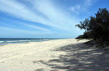 Ocean Beach From The Bush During Run Out Tide On A Sunny Day In Woorim, Bribie Island, Australia.