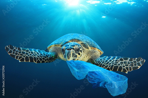 Cuadros en Lienzo Plastic pollution in ocean environmental problem
