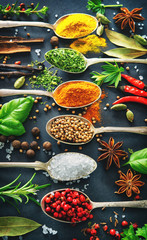 Wall Mural - Various herbs and spices on dark background
