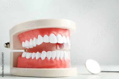 Fotografie, Obraz Teeth model with dental tool on grey background