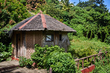 Small Wooden House In The Jungle