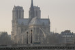 Paris, France, katedra Notre Dame