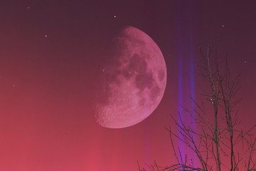 Wall Mural - big moon in the sky