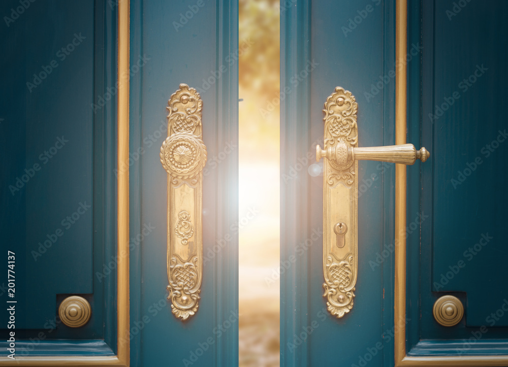 antique ornate gold door handle