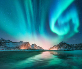 Wall Mural - aurora borealis in lofoten islands, norway. aurora. green northern lights. starry sky with polar lig