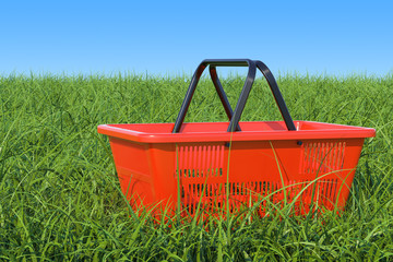 Poster - shopping basket on the green grass against blue sky, 3d rendering