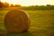 Haybales in field at sunrise