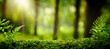 Leinwandbild Motiv Closeup on moss in forest