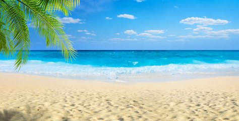 Wall Mural - beach panoramic view