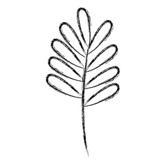 Poster - leaf drawing monochrome icon vector illustration design