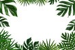© Googot - Tropical green leaf frame on white background