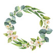 Watercolor vector wreath with green eucalyptus leaves, Jasmine flowers and branches.