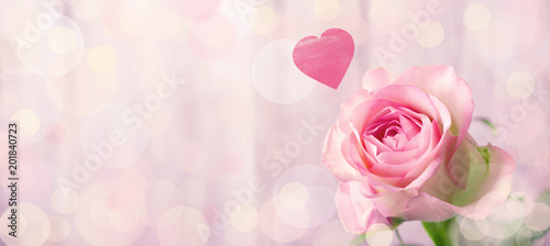 Romantic rose flower background with heart Canvas Print