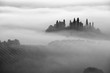 Beautiful foggy sunrise in Tuscany, Italy with vineyard and trees. Natural misty background in black and white