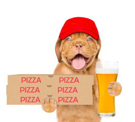 Poster - Funny pizza delivery puppy in red cap with pizza boxes and beer. isolated on white background