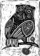 Hand Drawn Vector Illustration of  Owl woodcut  isolated vector illustration