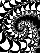 Abstract Fractal Spiral In A Black - White Colors