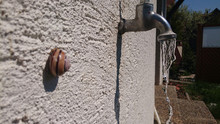 Running Water Tap With A Snail