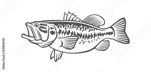 Free Free 198 Outline Bass Fish Svg SVG PNG EPS DXF File