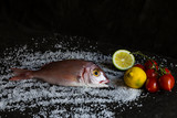 Fototapeta Tęcza - Fresh sea Italian fish whith lemon
