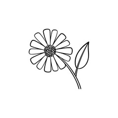 Sticker - Daisy flower hand drawn outline doodle icon. Field daisy flower with a petal vector sketch illustration for print, web, mobile and infographics isolated on white background.