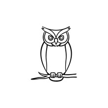 Owl Outline Free Stock Photo Public Domain Pictures