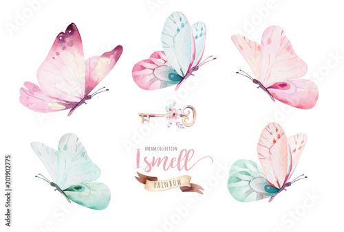 Fotografía Watercolor colorful butterflies, isolated on white background
