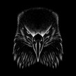  The Vector logo eagle for T-shirt design or outwear.  Hunting style eagle background.