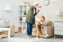 Cheerful Ecstatic Modern Senior Woman In Casual Clothing Holding Dogs Treat While Training Beagle Dog At Home, Pet Standing On Hind Legs Ad Asking Food