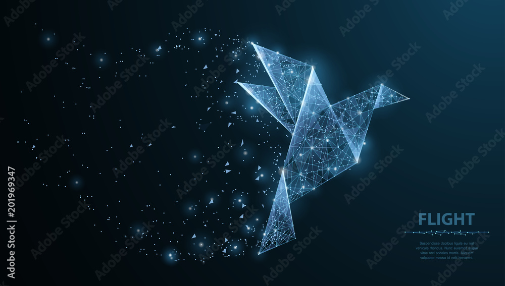Abstract origami paper bird. Polygonal wireframe mesh with dots and stars. Concept illustration or background - obrazy, fototapety, plakaty 