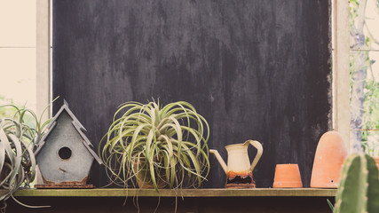 Garden tools,Bird house and flowerpots with green plant on wood shelf background with vintage feel.