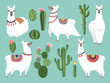 Illustrations of funny llama. Vector animal in flat style