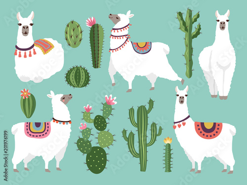 Fotomural Illustrations of funny llama. Vector animal in flat style