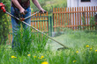 © encierro - Gardener mowing grass by brushcutter in garden