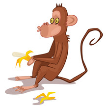 Monkey Animal Cartoon Vector Illustration Isolated On White Background.