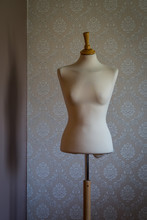 Mannequin Dress Form Vintage  Background