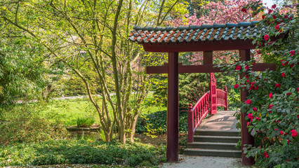 Japanese Garden Spring