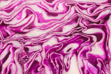  Raw Purple Cabbage