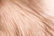 Leinwandbild Motiv Close up skin texture with wrinkles on body human