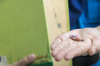© jittawit.21 - Pencil used in book writing Very short