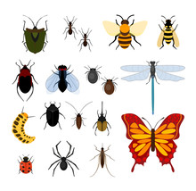 Vector Illustration Set Of Different Types Of Insects In Flat Style Design Icons. Bee, Fly And Dragonflies, Spiders And Ticks, Mosquitoes And Others Popular Insects Collection On White Background.