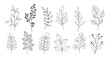 Vector illustration set of branches, leaves, twigs, garden grasses in line style for floral patterns, bouquets and compositions in white background. Elements for greeting cards.